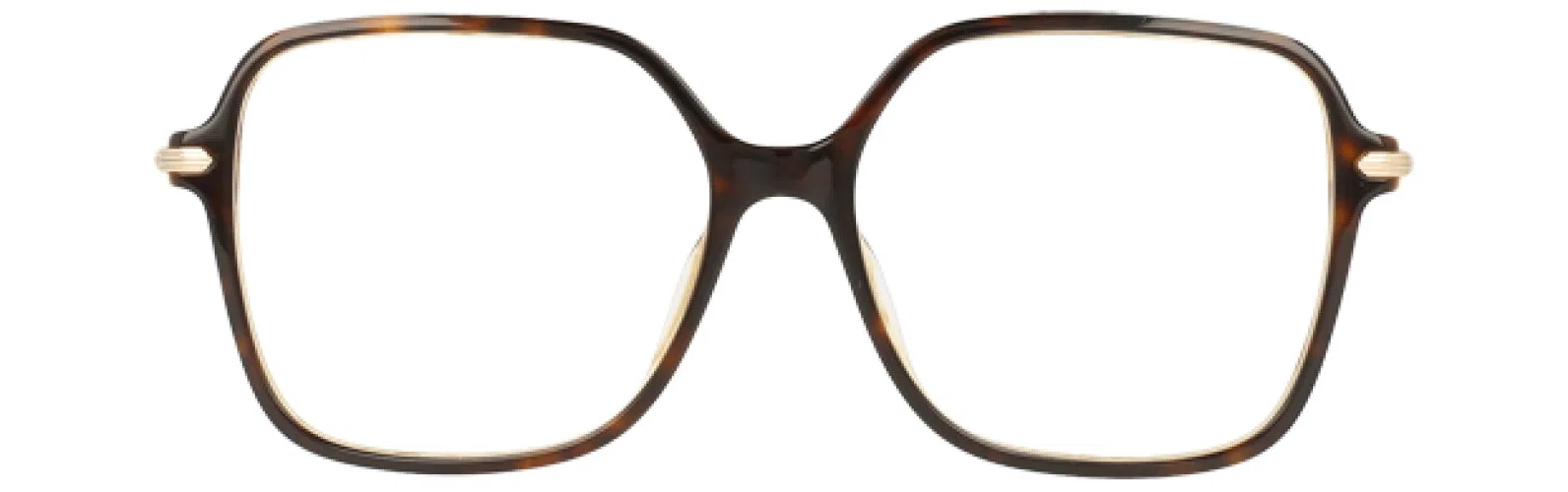 Leon Max LM4092 Eyeglasses - Tortoise - view 3